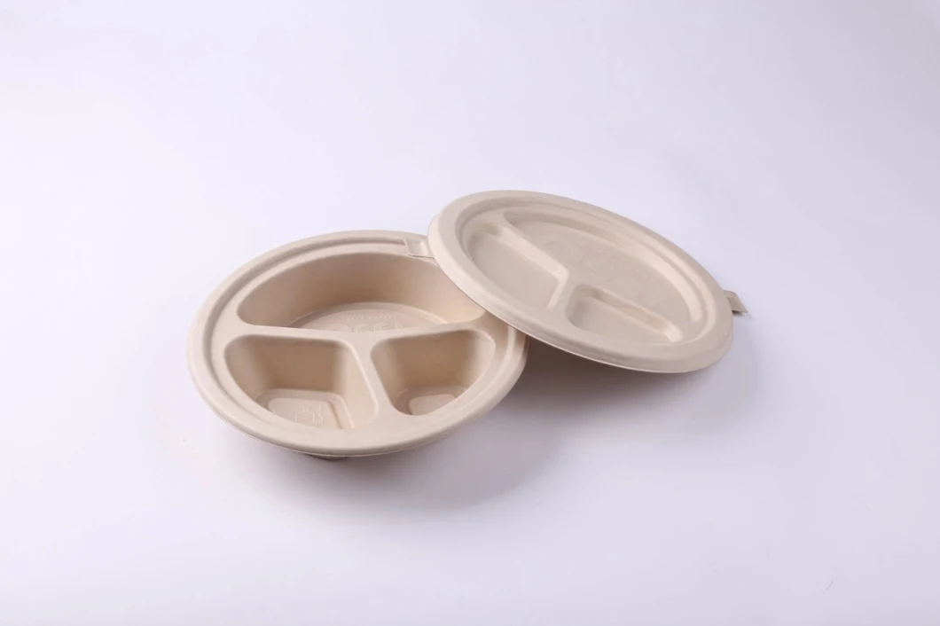 Non Plastic Eco Friendly Biodegradable Pulp Insert for Making Molded Package