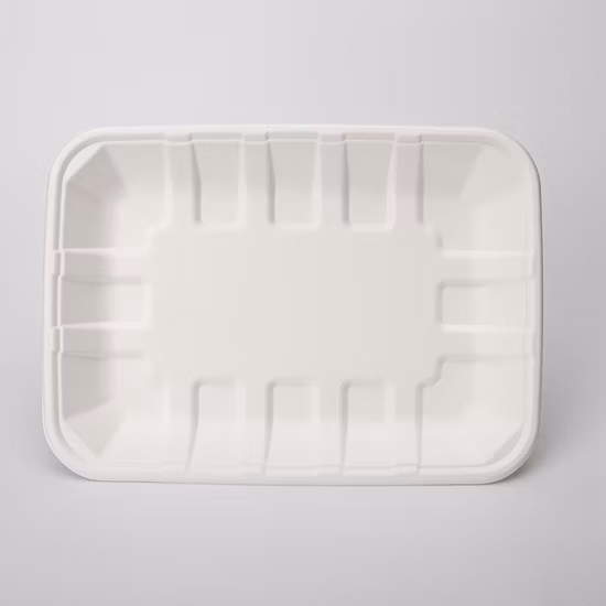 Vassoio per alimenti biodegradabile, stoviglie in pasta di carta con bagassa di canna da zucchero, vassoi biodegradabili